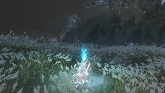 只狼正常版本——心中的弦一郎