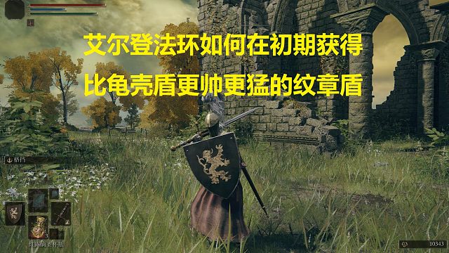 【艾尔登法环】初期就能获得100物防盾！比龟壳盾更强更帅！#艾尔登法环#