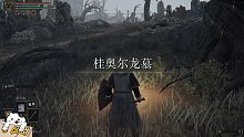 占星师包爽无伤逃课—龙墓飞龙