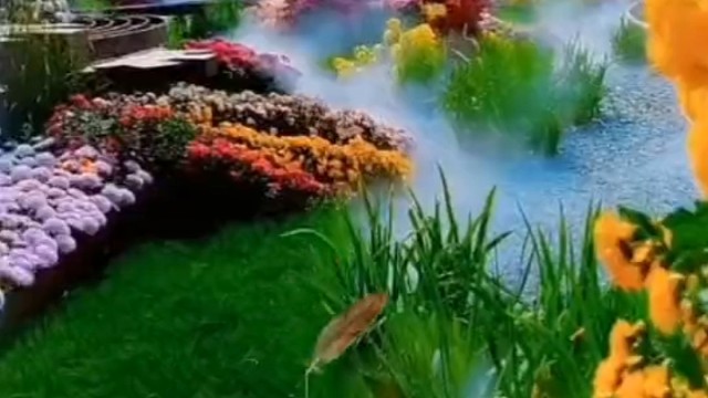 我发布了一个新视频，快来围观吧！