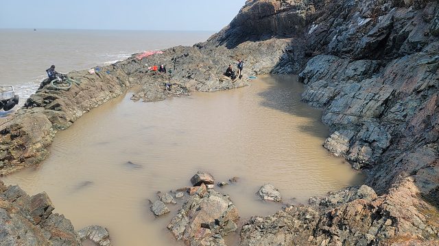 筹备半年的七米深巨坑，惊现剧毒蓝环章鱼，怎料最深处还有三条巨物