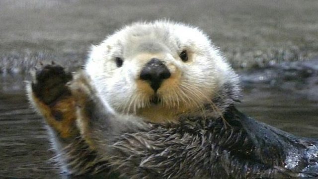 新一天的刮痧之旅