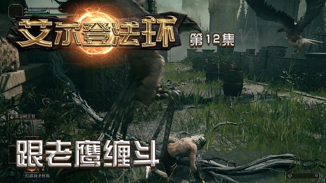 艾尔登法环第十二集：跟老鹰缠斗