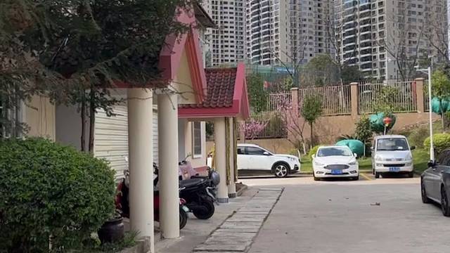 麻烦家人们帮我看看这是啥花！