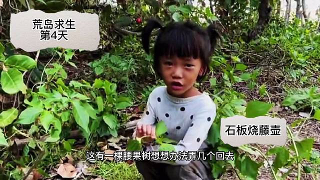 石板烧藤壶、腰果