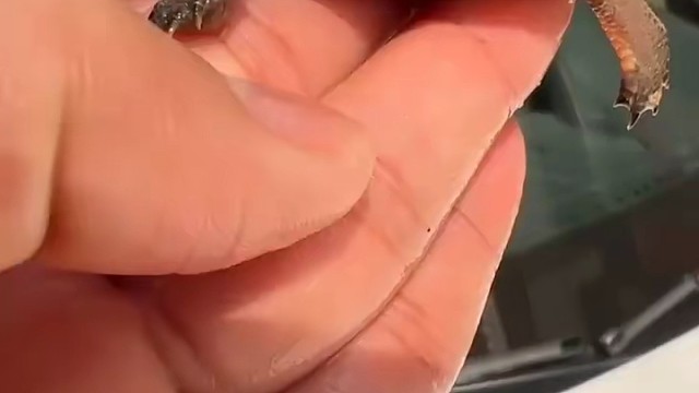 价低，想要的联系我