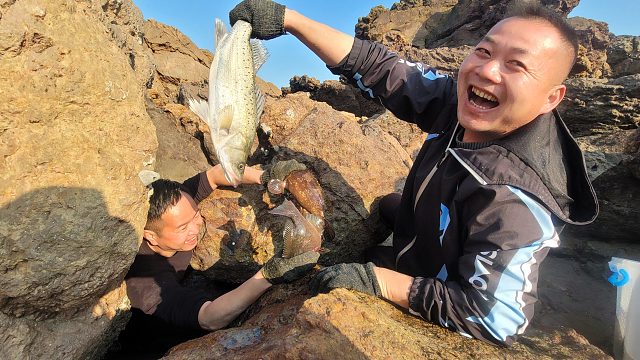 天气渐暖，各种值钱海货游回岛上水坑聚集，一次抓这么多，赚大了