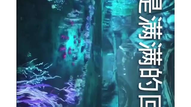 ark方舟生存进化每个方舟玩家的方舟回忆