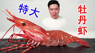 偶遇特大活牡丹蝦，害我失眠好幾夜，吃完值了