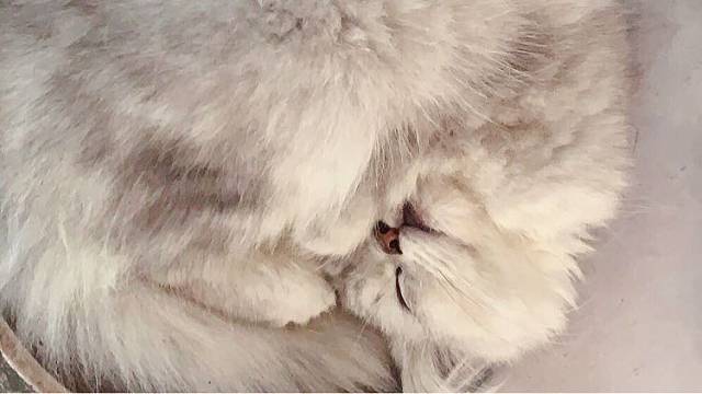 你失去的是一个很爱你的人，
我失去的只是一个不再喜欢我的人罢了。