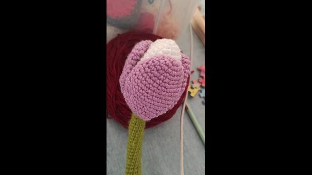 没有叶子的郁金香