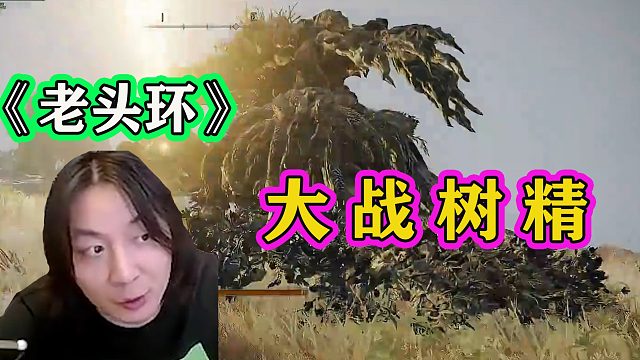 张大仙《老头环》花光500万，秒升到100级，却连树精都打不过