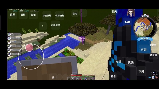 神奇宝贝服务器