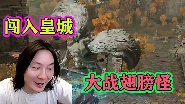 张大仙深夜爆肝艾尔登法环，潜入皇城大战翅膀怪：他怎么没血条？