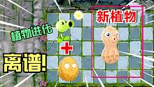 植物大战僵尸：豌豆射手吃了坚果墙，进化成新植物花生？离谱！