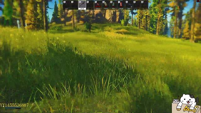 森林捡垃圾，带萌新。学精髓