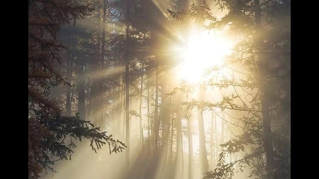 光一直在，只是没看到