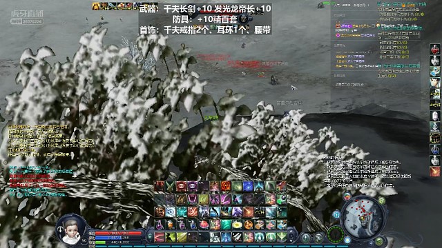 皮甲何苦为难皮甲