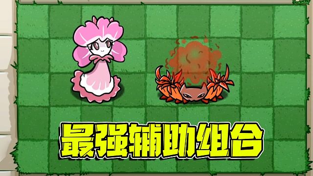 植物大战僵尸：两位极强的辅助叠加在一起直接让一个植物原地进化