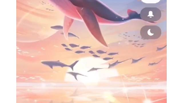 特效美绝了
感恩感谢！！