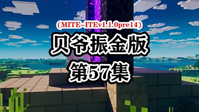 贝爷生存振金版-p57