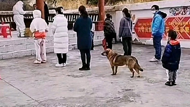 像不像你做核酸的样子