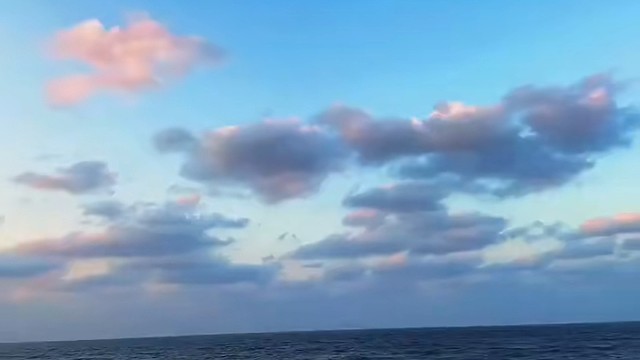 春风吹过少年心a