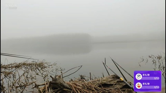 野钓大板筋，雾太大，鱼获6斤大板鲫，最大7两，明天继续