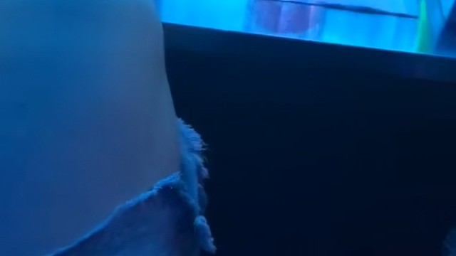 其实我们都很好，只是时间不凑巧！