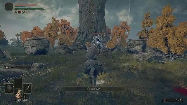 艾尔登法环小黄金树守卫