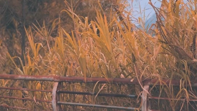 那我们来放松一下吧~