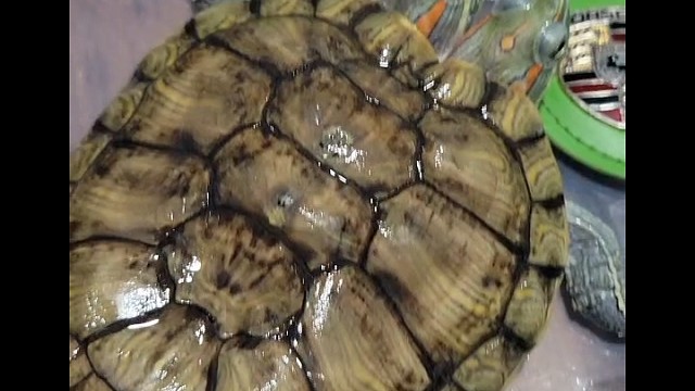 千万分之一的几率，是他