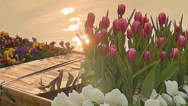 牵你手，往前走，依然奋勇～