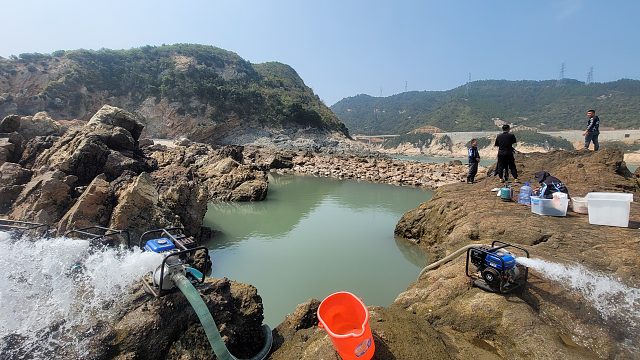 十斤大石斑打窝五米巨坑，换来四十斤巨物，海鲜老板说出价格，大伙傻眼了