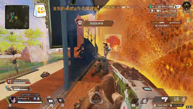 黄金局花园落地的王