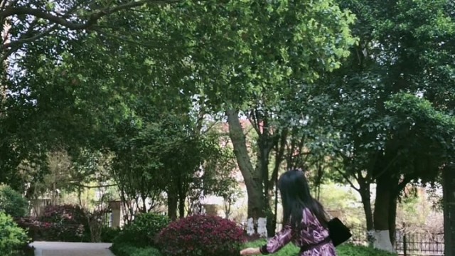 不撞南墙只撞胸膛