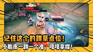 王者榮耀夏嶼:下次路過這個(gè)草叢記得要探一下喲