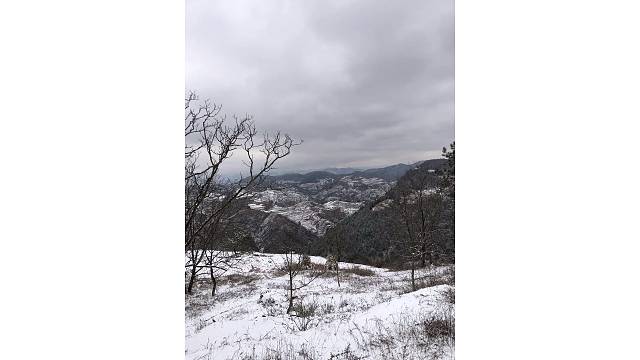 家乡雪景
