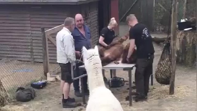 事实证明，没事千万不要看热闹