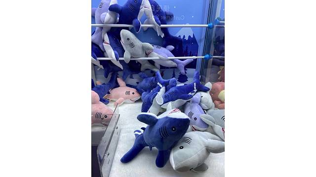 终于还是夹不到一条鱼哥