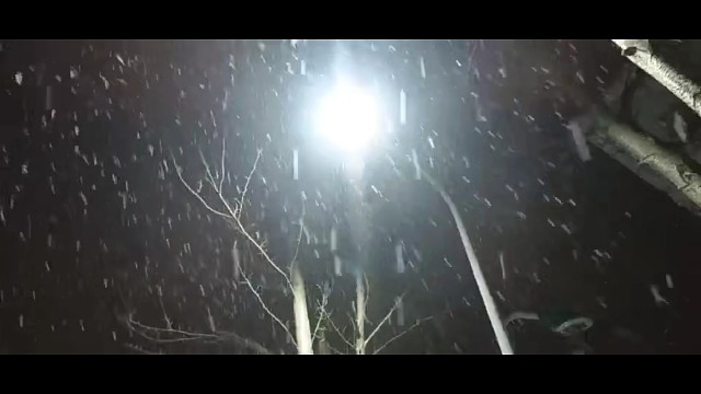 三月中旬飘雪