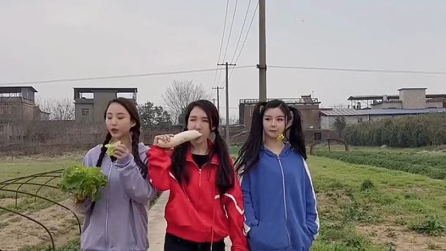 三个女人一台戏