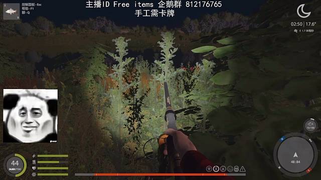 绝对榜第一的猪