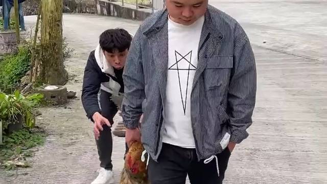 高手，我的农村生活