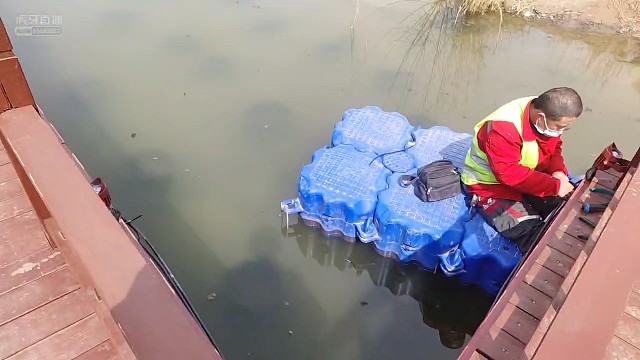 和修桥的大爷聊聊天