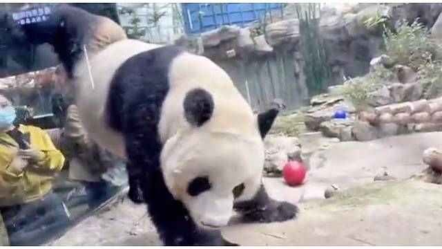 嗯，这张门票不亏。