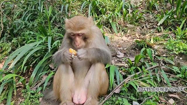 嘎嘎姐罗大脸戳你的头哈哈哈