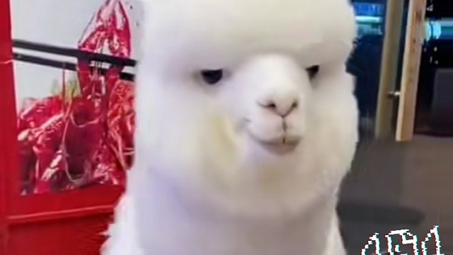 你们第一眼看着像谁？