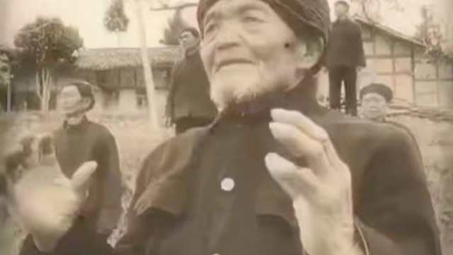 深情不及久伴，厚爱无需多言#花爺