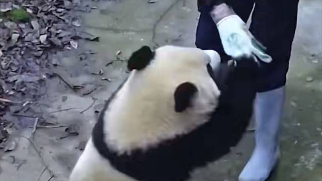 蚩尤的坐骑有多凶